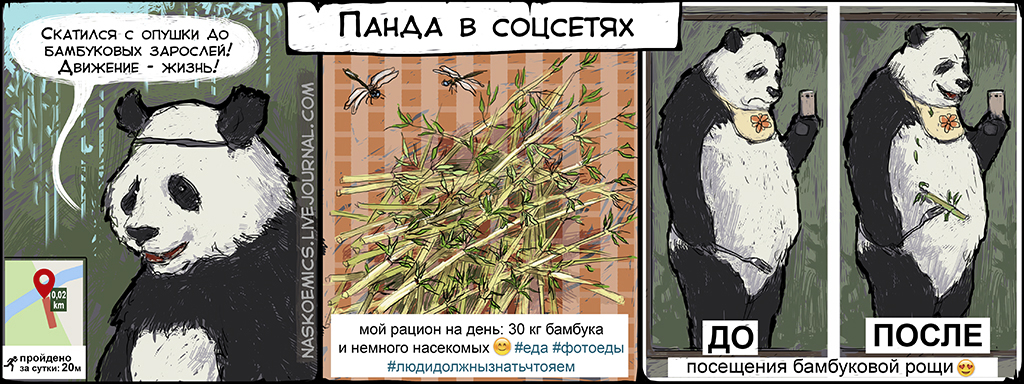 Комикс Апатяпатя!: выпуск №135