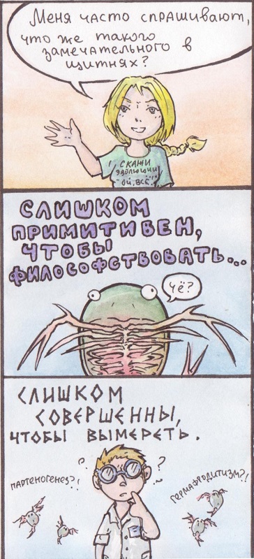 Комикс Щитень Необыкновенный: выпуск №13