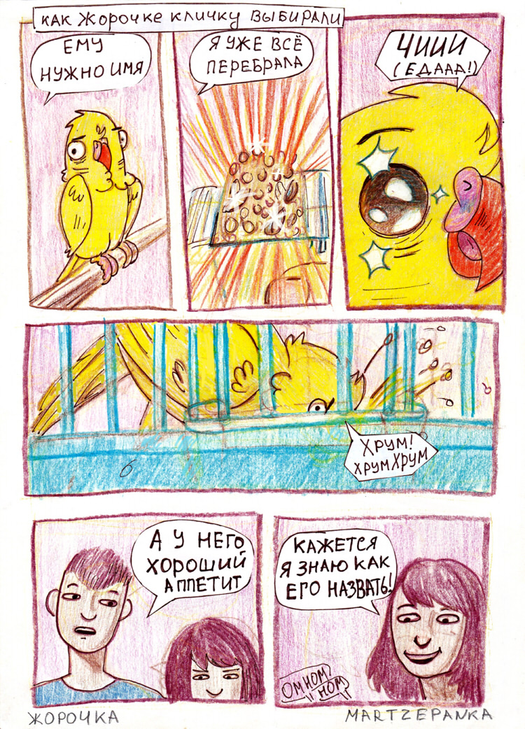 Комикс Папужьи будни: выпуск №14