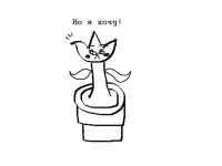 Превью выпуска №5