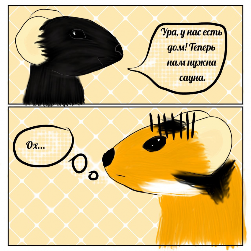 Хомяки и жилищный вопрос. P.S.