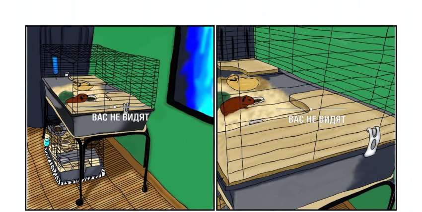 Вас заметили.