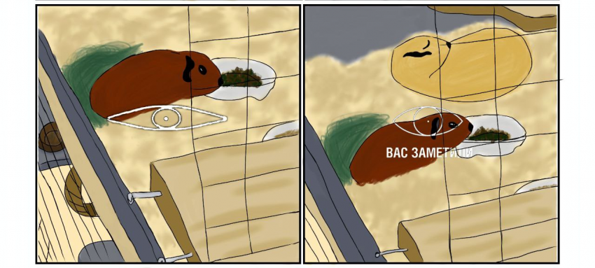 Вас заметили.