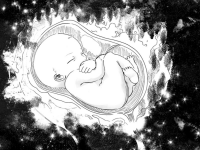 Превью выпуска №23