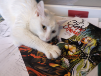 Превью выпуска №18