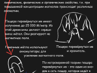 Превью выпуска №5