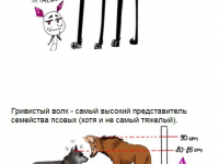 Превью выпуска №2