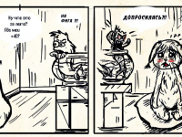 Превью выпуска №5