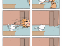 Превью выпуска №5