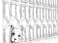 Превью выпуска №2