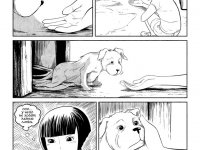 Превью выпуска №11