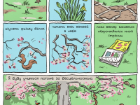 Превью выпуска №24