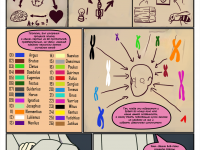 Превью выпуска №3