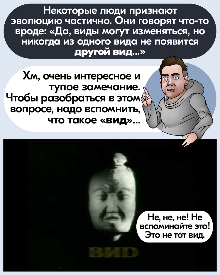 Видообразование