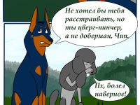 Выпуск №6