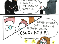 Превью выпуска №16