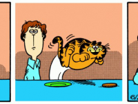 Превью выпуска №6