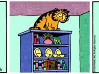 Превью выпуска №8