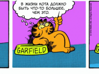 Превью выпуска №12