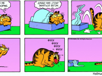 Превью выпуска №14