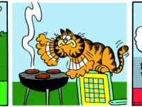 Превью выпуска №24