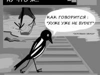 Превью выпуска №13