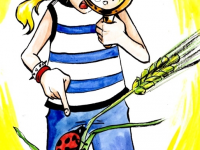 Превью выпуска №13