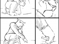 Превью выпуска №24