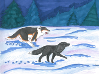 Превью выпуска №9