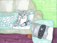 Превью выпуска №13