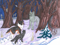 Превью выпуска №17