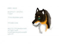 Превью выпуска №21