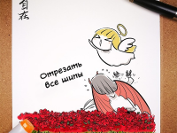 Превью выпуска №205