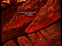 Превью выпуска №56