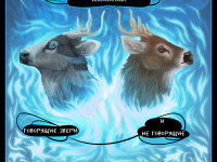 Превью выпуска №102