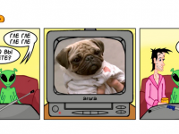 Превью выпуска №15