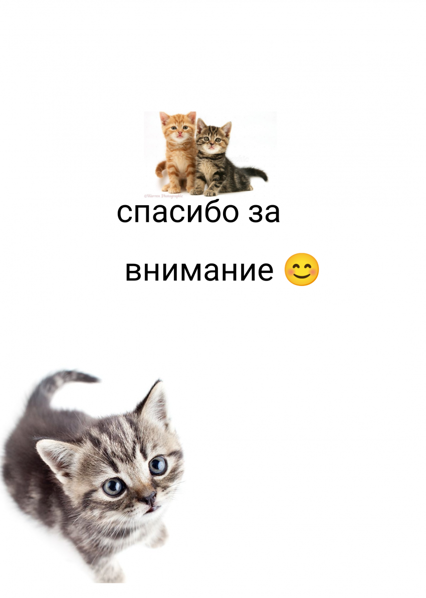 Комикс Жизнь Дэнди: выпуск №184