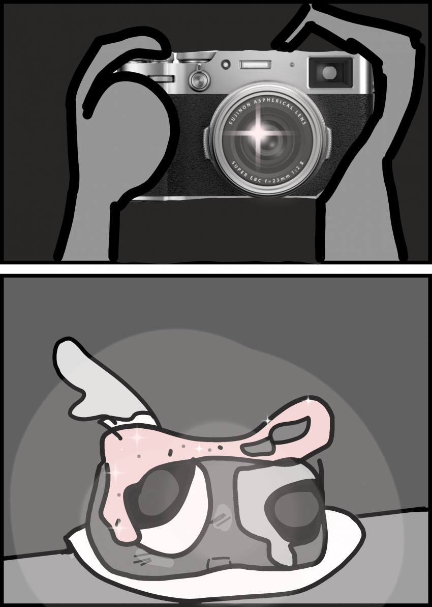 Комикс Жизнь Дэнди: выпуск №248