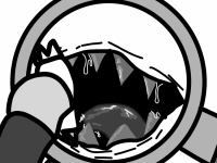 Превью выпуска №178