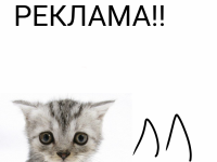 Превью выпуска №182