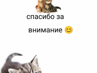 Превью выпуска №184