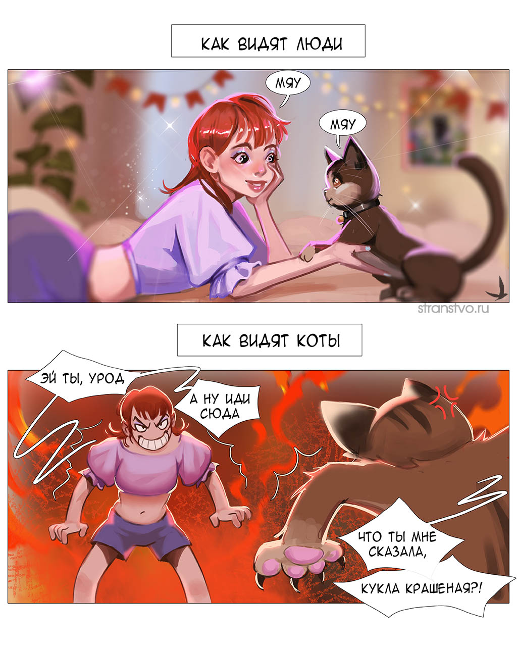 Коты и люди