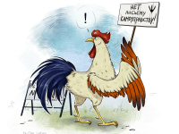 Превью выпуска №12