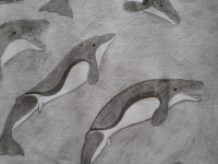 Превью выпуска №7