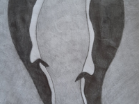 Превью выпуска №9