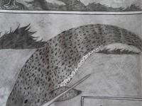 Превью выпуска №11