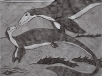 Превью выпуска №12