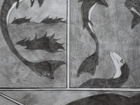 Превью выпуска №13