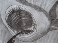 Превью выпуска №14