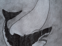 Превью выпуска №15